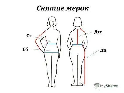 Дтс мерка