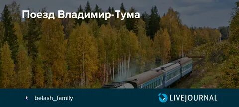 Каким поездом из владимира
