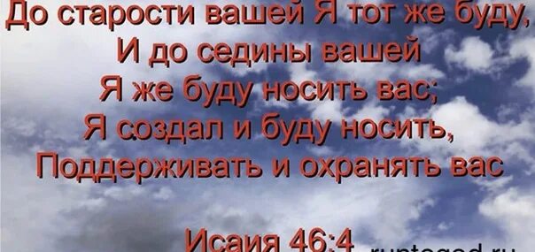 Картинка будешь мне апельсины в психушку приносить. Влюбленные зимой живопись. Будет апрель вы уверены. Вы полагаете что это будет носиться. Алессандро микеле в розовом.