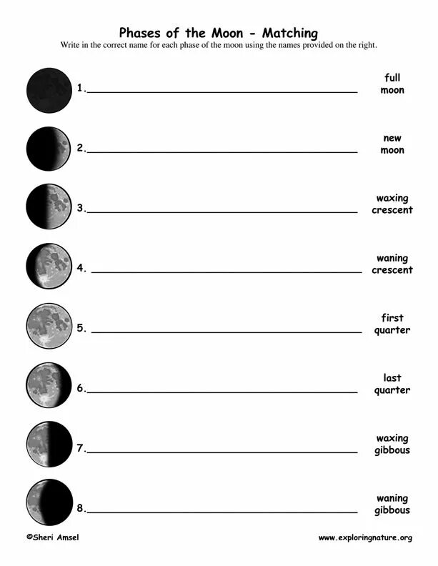 Moon matching. Moon phase worksheet for kids. moon phases worksheets. moon phases names. moon worksheets.