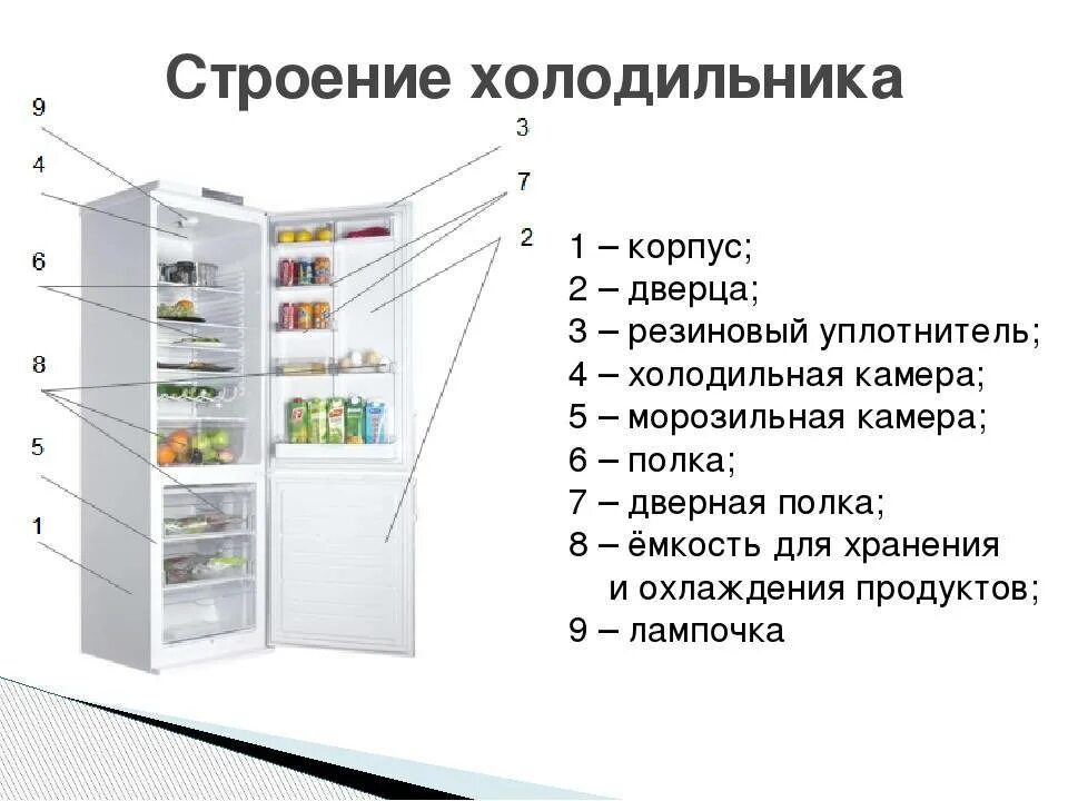 Сколько включается холодильник. Строение холодильника Атлант. Холодильник устройство и принцип работы схема. Основные части холодильной камеры.