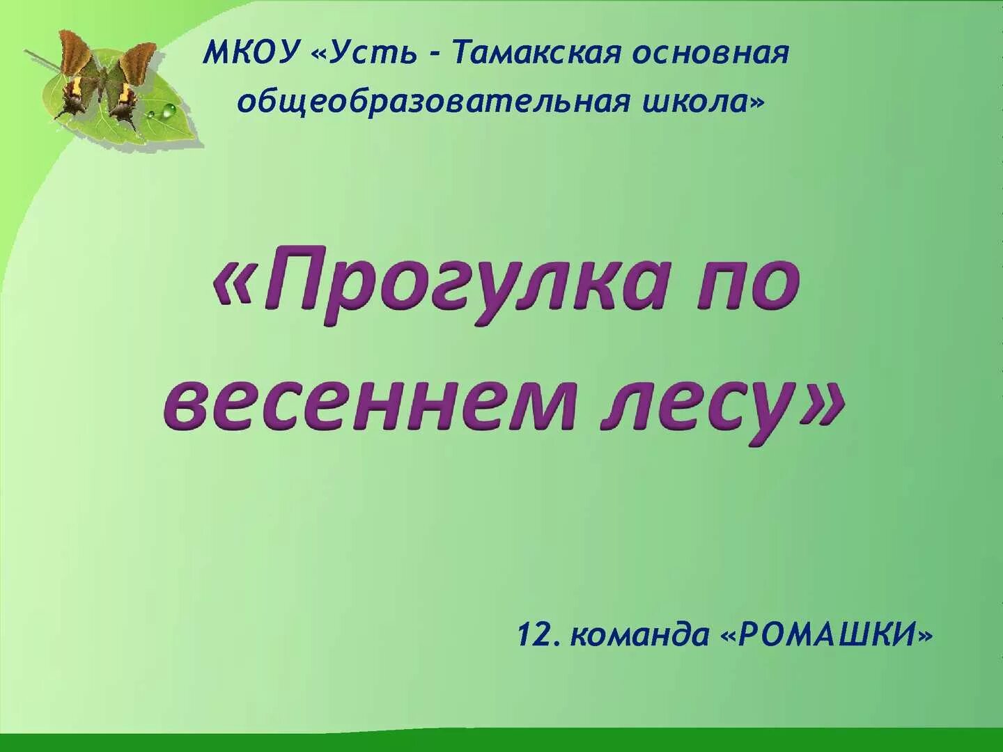 Прогулка по весеннему лесу вторая младшая. Рассказ прогулка в весеннем лесу. прогулка в весеннем лесу сочинение. прогулка по лесу весной сочинение. прогулка по весеннему лесу 2 класс.