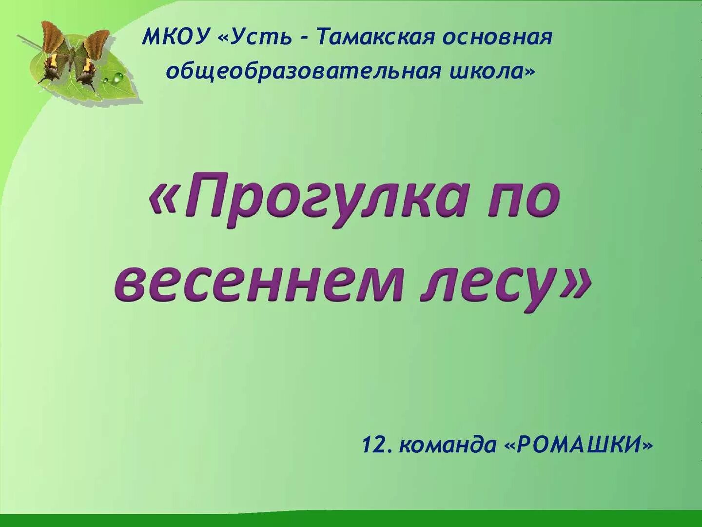 Прогулка по весеннему лесу младшая группа. Рассказ прогулка в весеннем лесу. Прогулка в весеннем лесу сочинение. Прогулка по лесу весной сочинение. Прогулка по весеннему лесу 2 класс.