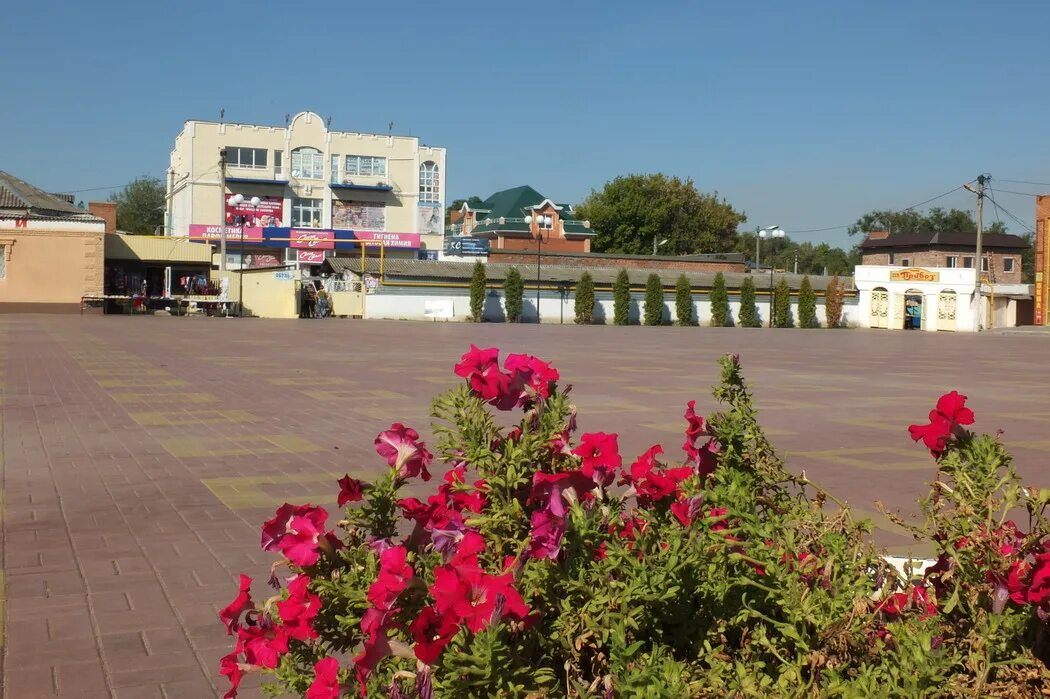 Набережная в г семикаракорске. Семикаракорск достопримечательности. Семикаракорск ростовская область. Семикаракорск футбольная команда дон. Семикаракорск центр города.