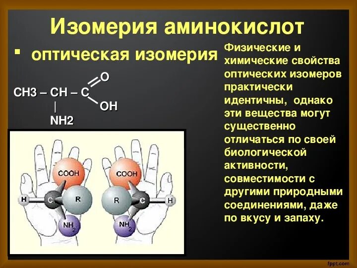 Аминокислоты химические соединения. Аминокислоты химия 10 класс. Аминокислоты изомерия химия 10 класс. Номенклатура аминокислот 10 класс. Аминокислоты презентация химия.