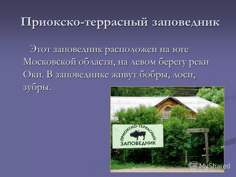 Этот заповедник расположен. Астраханский заповедник карта заповедника. Жигулевский заповедник на карте самарской области. Доклад о ростовской области ростовский заповедник. Астраханский биосферный заповедник местоположение.
