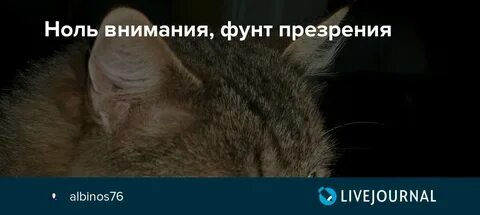 Ноль внимания фунт