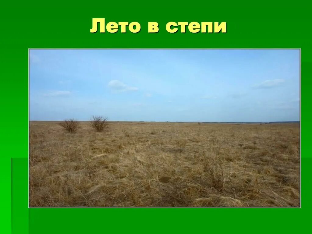 Природная зона степь 6 класс. Степь. Степь природная зона. Степь презентация. Проект про степи.