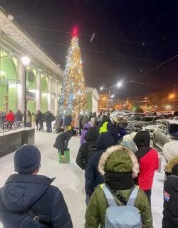 Сети мурманска