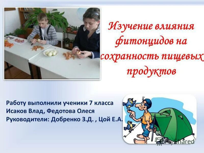 опыт с фитонцидами. влияние влажности воздуха на продукты питания. способы хранения продуктов. влияние фитонцидов на сохранность пищевых продуктов. биологические процессы происходящие в пищевых продуктах.
