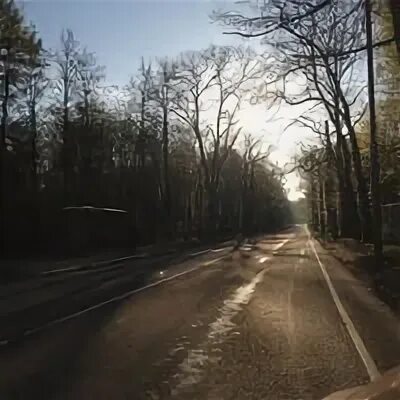 Поперечный просек. Поперечный просек
