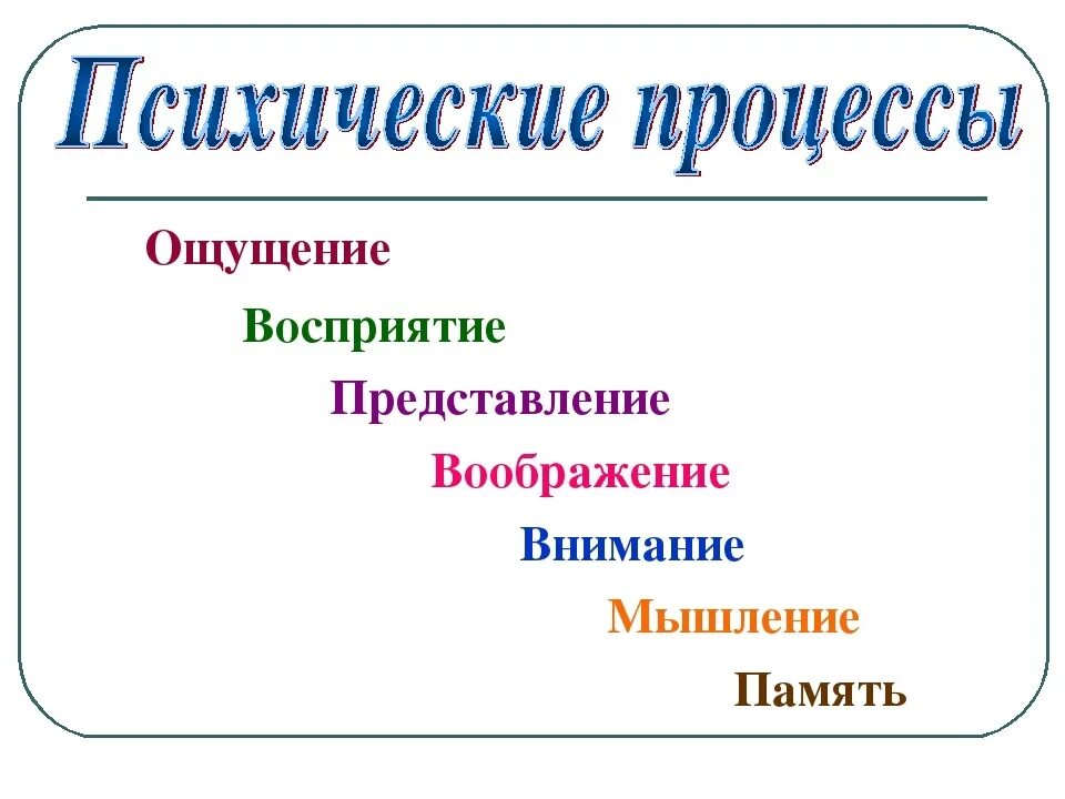 Ощущения память мышление воображение восприятие. Ощущение восприятие память внимание мышление воображение. Психические процессы. Ощущение восприятие память внимание. Психические процессы важные для профессионального самоопределения.