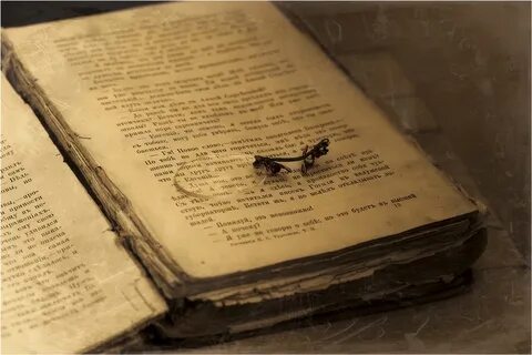 Недочитанная книга