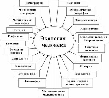 Связь экологии с культурой