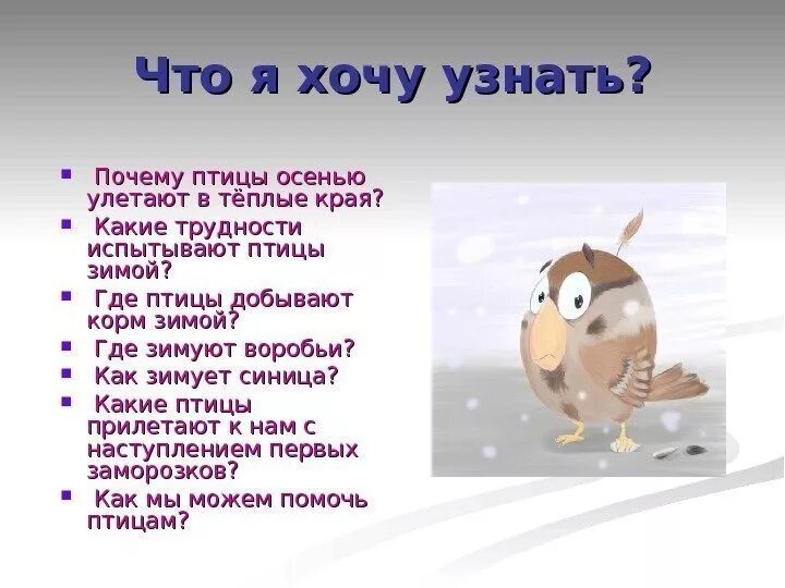 Почему некоторые птицы не улетают. Почему птицы улетают в теплые края. Зачем птицы улетают в теплые края. Почему птицы перелетают. Какие трудности испытывают зимой птицы.