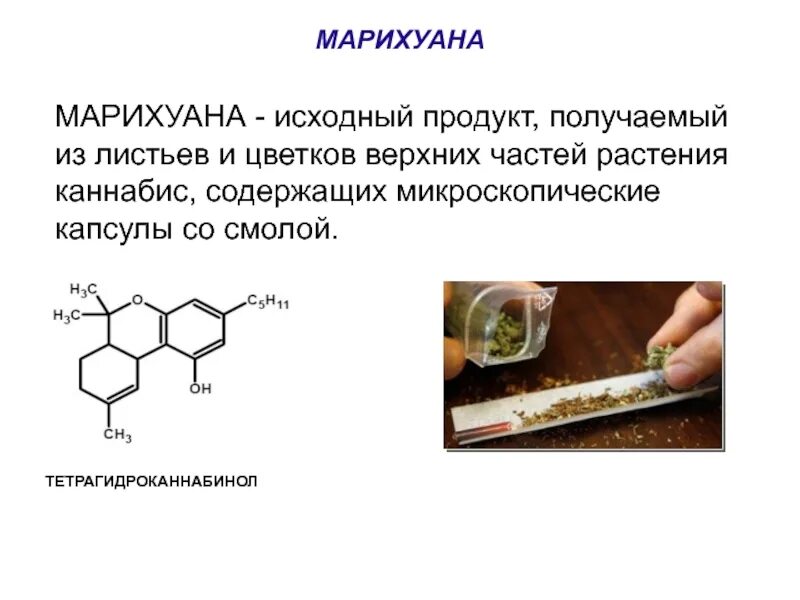 Исходный продукт 5 букв. Хим состав марихуаны. Гашиш хим состав. Состав гашиша. Исходный продукт это.