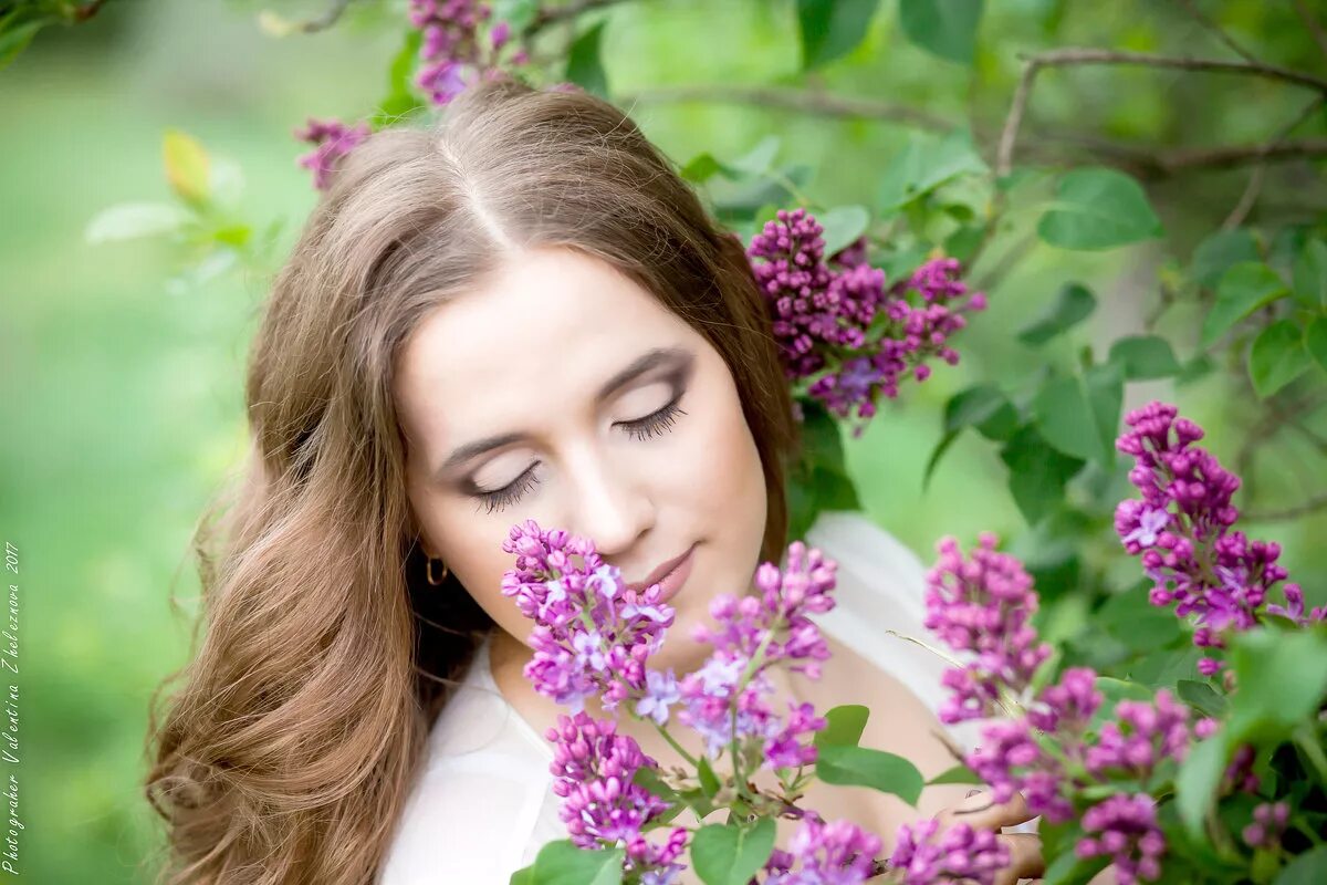 сиреневые рае. природа. сирень лилия сиреневый рай. фиолетовый рай. сиреневые рае.