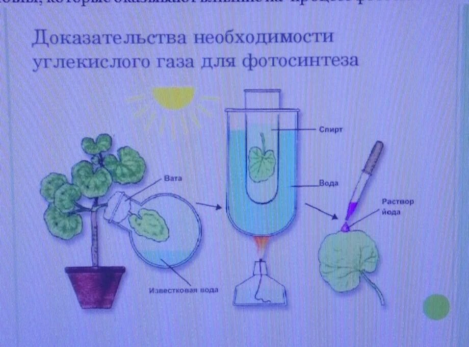 На рисунке показан эксперимент