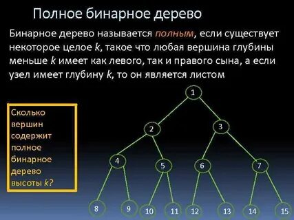 Бинарное строение