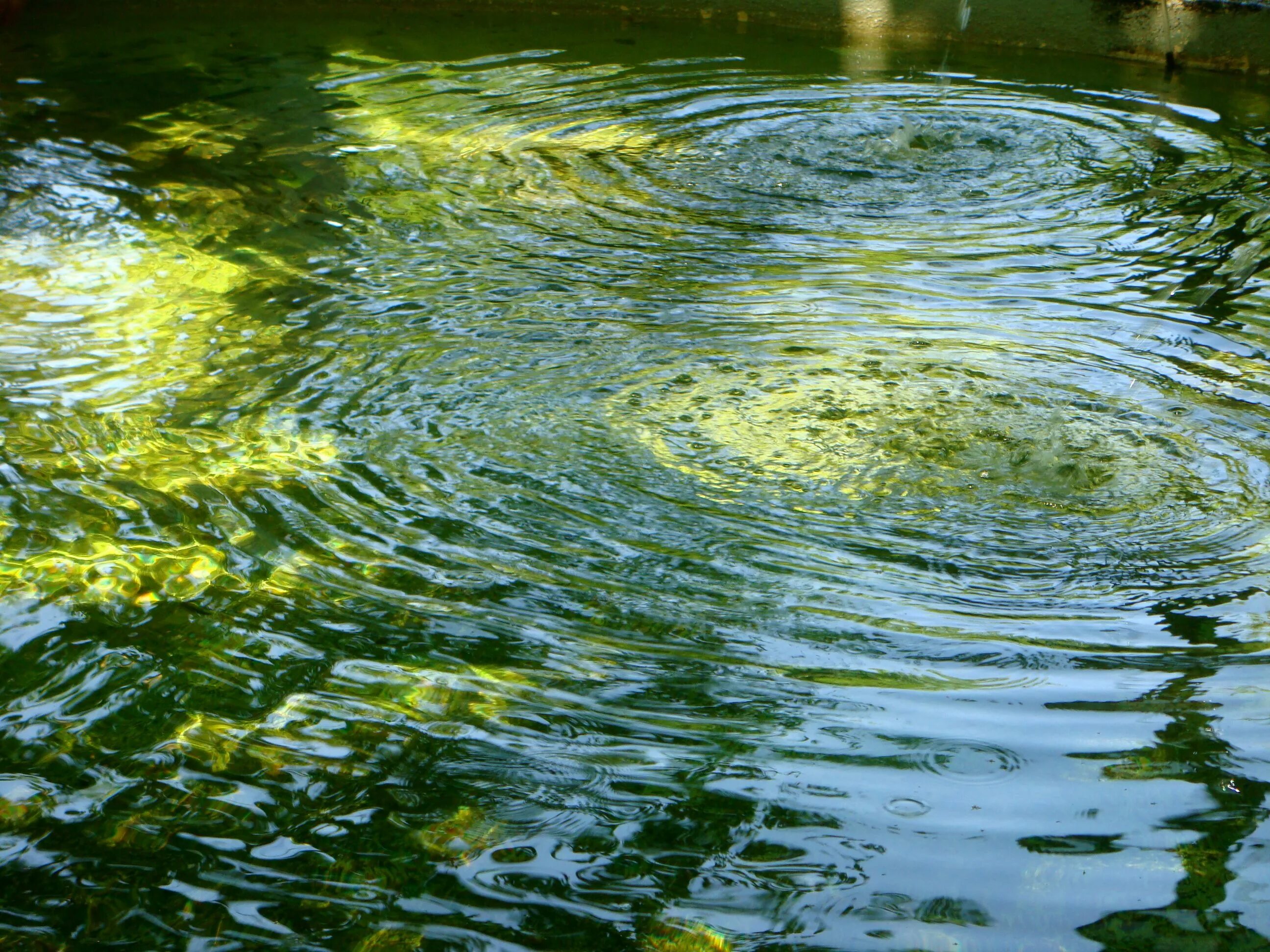 Круги на воде. Речная вода. Вода озеро. Вода в пруду. Зеленая вода в озере