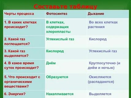 В клетках каких органов растений происходит дыхание