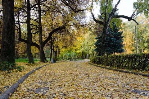 Парки рязани для прогулок