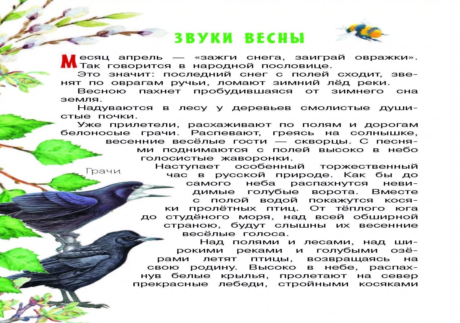 Текст описание весеннего. Сказка про весну. Рассказы о весенней природе. Рассказ о весне. Рассказ о весне 2 класс.