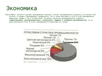 Новосибирская экономика