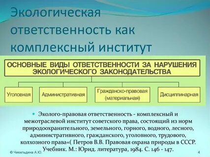 Ответственность экономического контроля