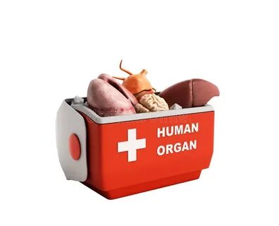 Открой human