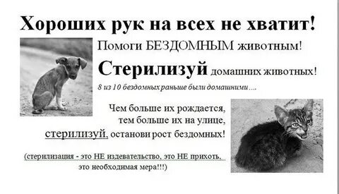 Призыв животных