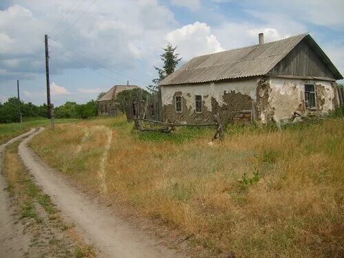 Церковь Василия Великого (старая), Шуклино (Фатежский район), фотография. архивн