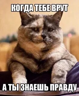 Не смотрите на меня осуждающим взглядом