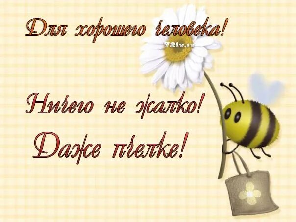 Хорошему человеку не жалко. Для хорошего человека ничего не жалко. Для хорошего человека ничего не жалко картинки. Для тебя ничего не жалко.