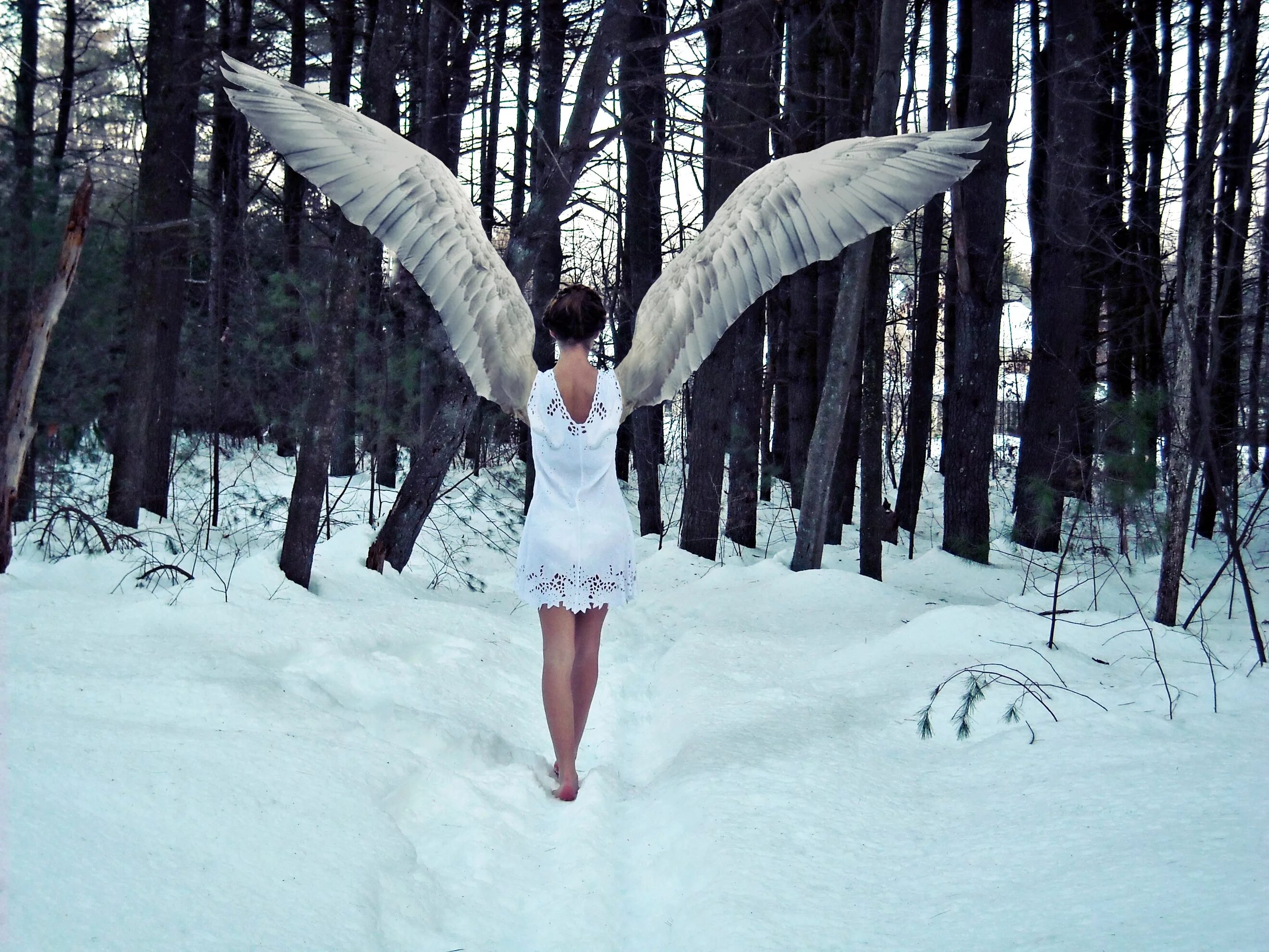 Зимние крылья. Зимний ангел. Фотосет с крыльями. Девушка - ангел. Образ ангела.