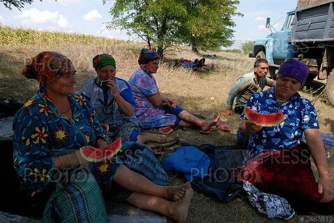 Погода в гагаузии