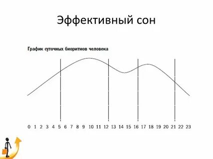 Интервалы сна