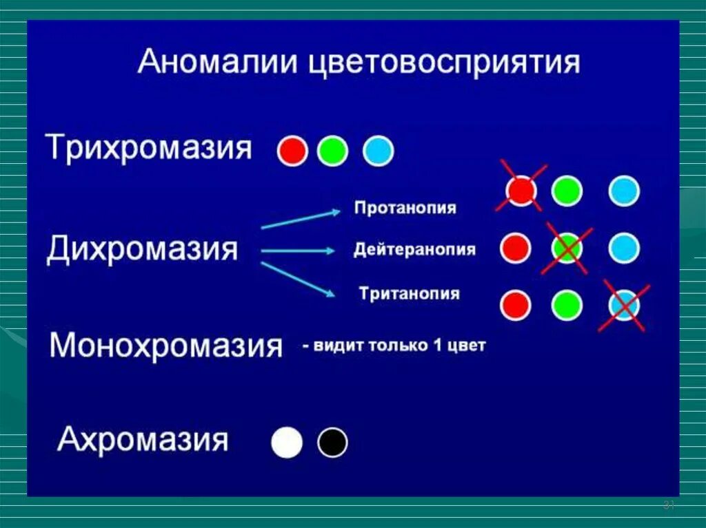 Цветовое зрение физиология