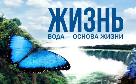 Вода основная жизнь