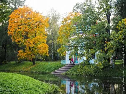 Провести время в пушкине