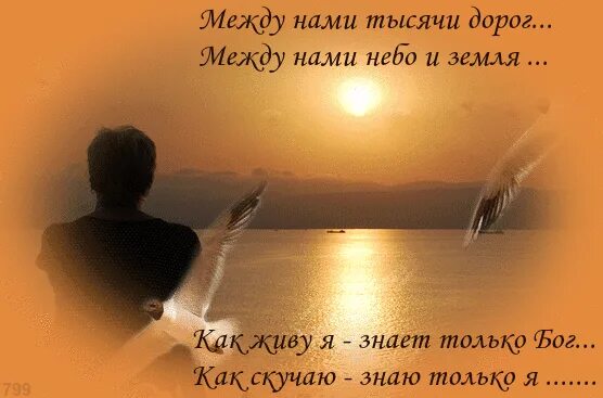Я шел тысячами дорог. Дорога в даль. Я шел тысячами дорог. Я шел тысячами дорог. Я шел тысячами дорог.