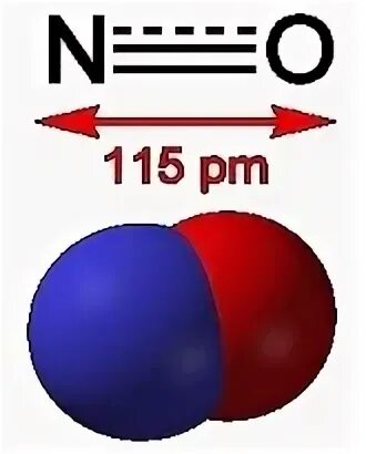 No 2