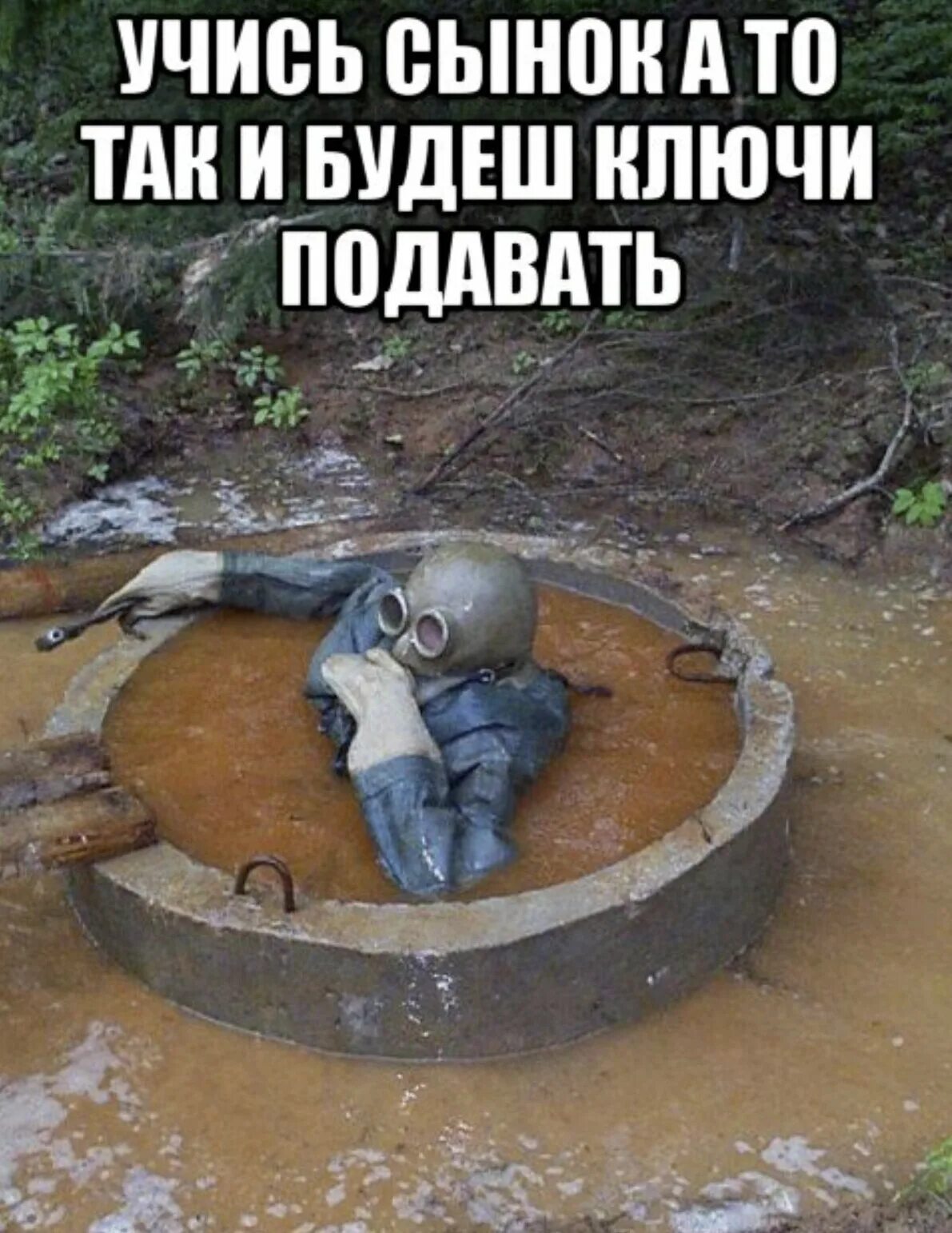 Так и будешь ключи подавать. Анекдот учись а то всю жизнь будешь ключи подавать. всю жизнь будешь ключи подавать. а то так и будршь ключи подавать анекдот.