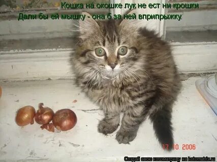 Горе луковое