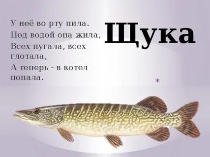 Щучье по английски