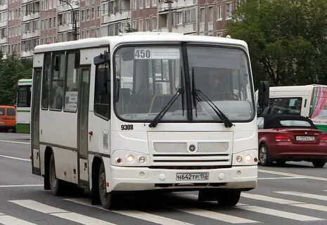 Паз 3203