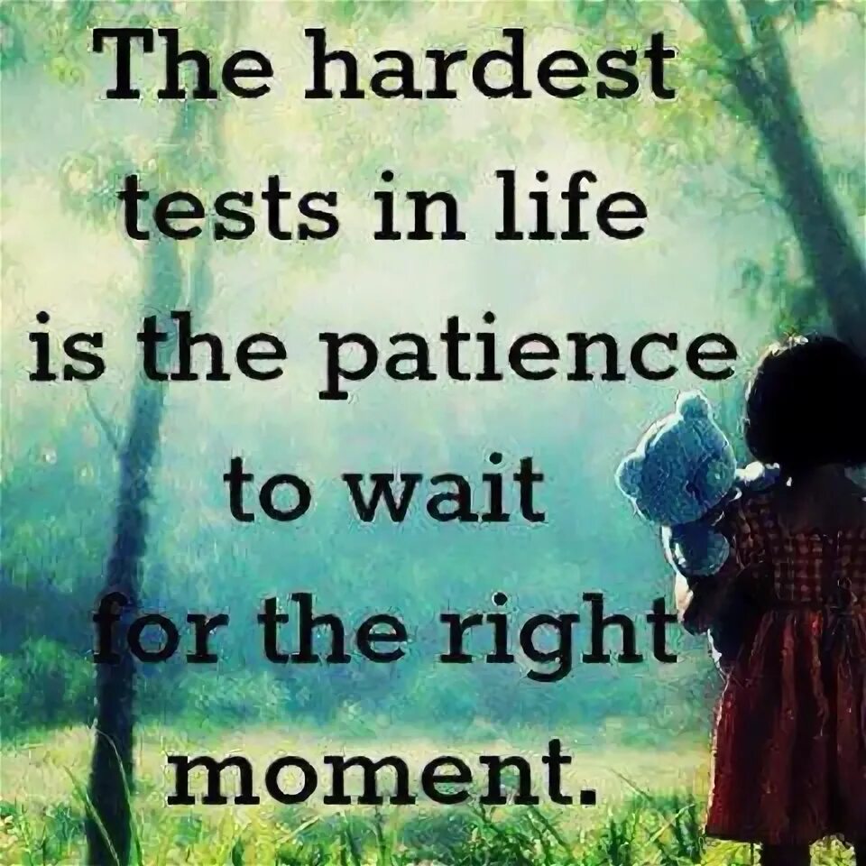 Do you have patience. The patience is life quotes. patience. be patient and wait.