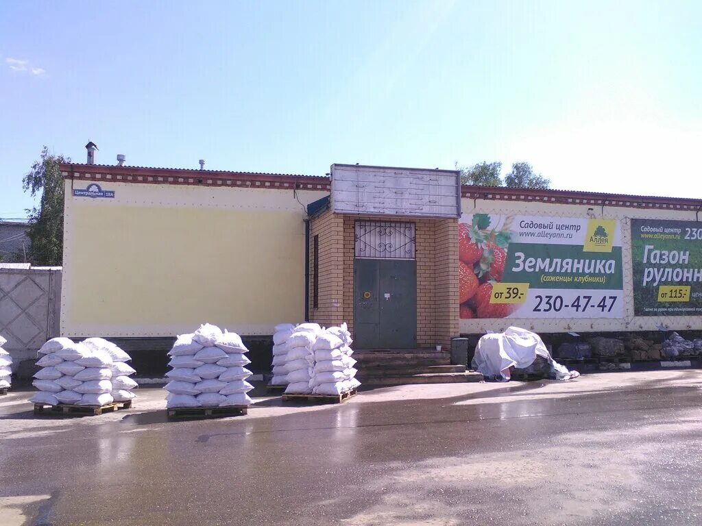 аллея садовый центр нижний. питомник растений. аллея садовый центр нижний новгород. аллея садовый центр нижний новгород площадь. садовый центр аллея.