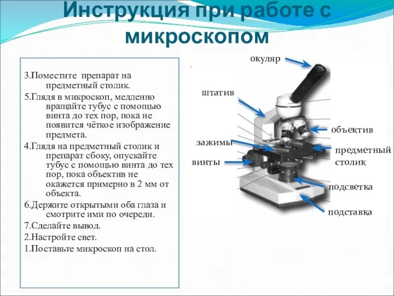 Какую функцию выполняет зеркальце в микроскопе. Строение микроскопа 5 класс биология лабораторная. Строение предметного столика микроскопа. Микроскоп правила работы с микроскопом. Предметный столик микроскопа Назначение.