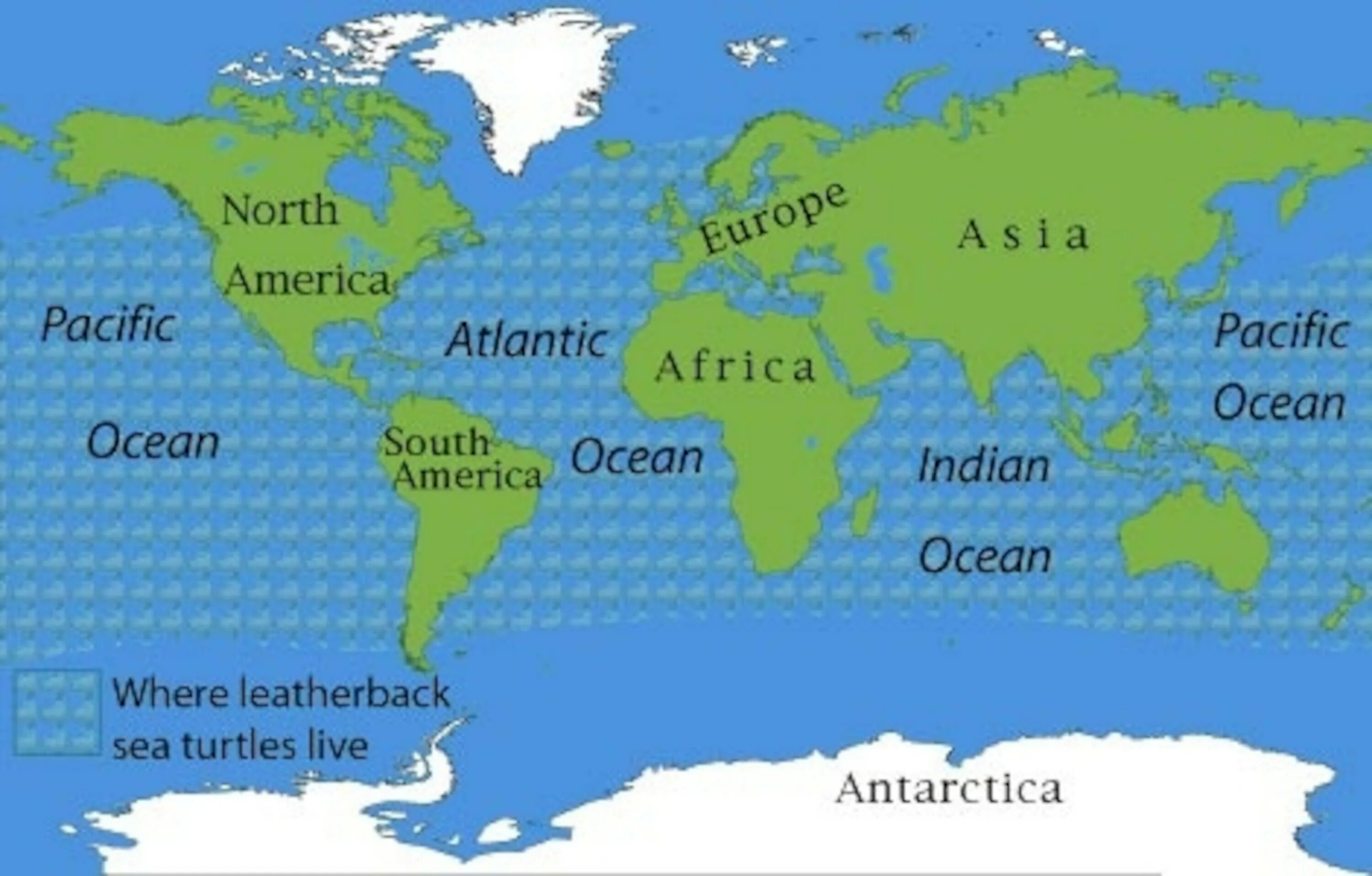 World s oceans. Leatherback Sea Turtle Map. Тихий океан на английском языке тату. Alifornia adds Pacific Leatherback Sea Turtle to its endangered species list - Lookout local Santa Cruz PNG..